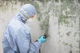 Mold Remediation for Vacation Homes in Hudson, NC